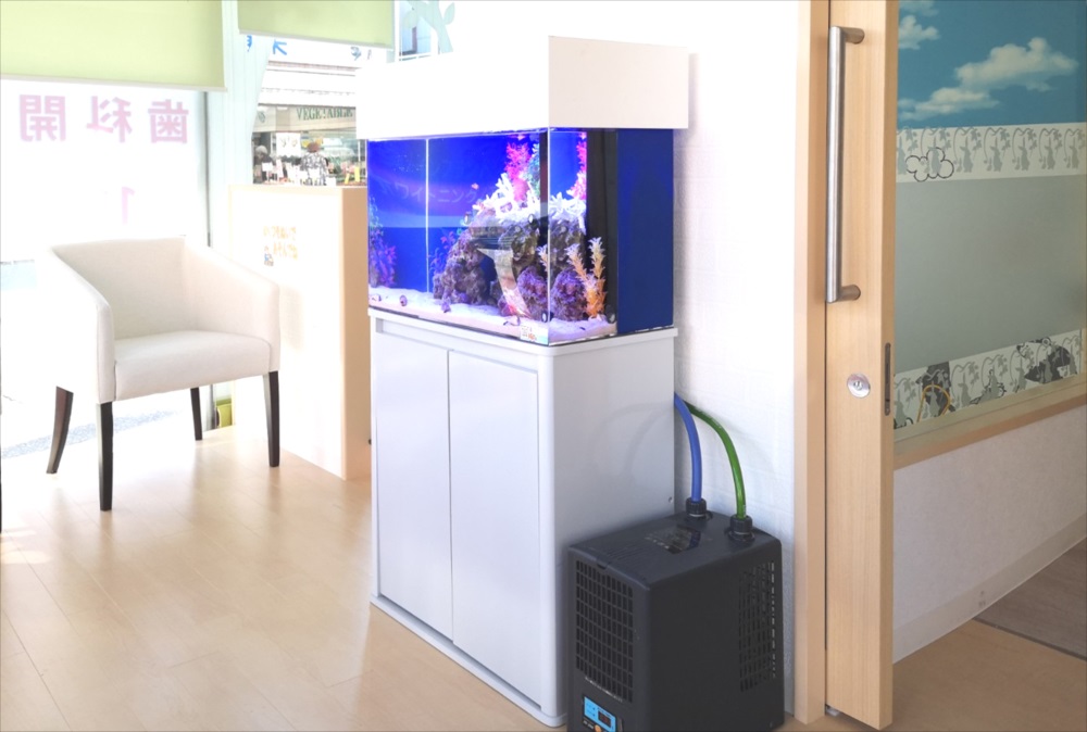 歯科クリニック　60cm海水魚水槽　斜め全体画像