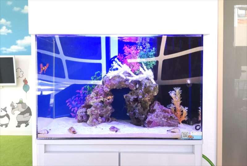 さいたま市 歯科クリニック 60cm海水魚水槽 水槽レンタル設置事例 水槽画像3