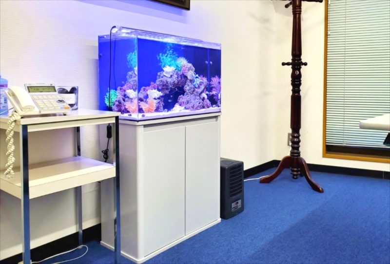 台東区 オフィス事務所 60cm海水魚水槽 レンタル事例 水槽画像5