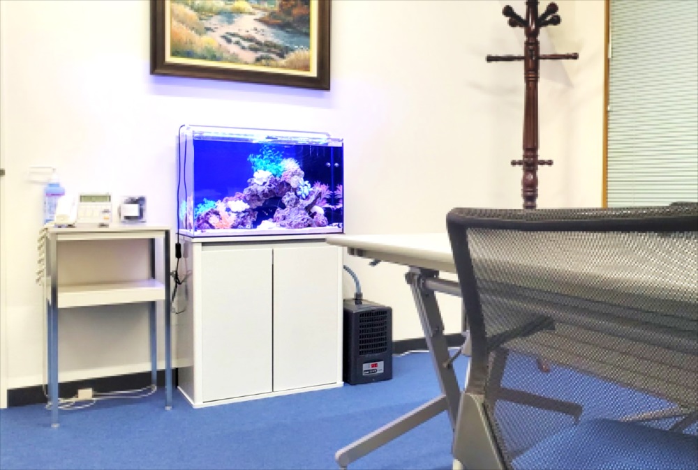 オフィス事務所　60cm海水魚水槽　全体画像
