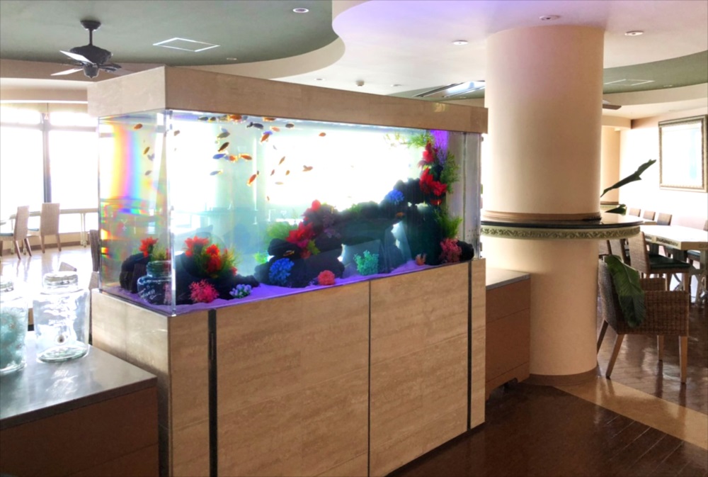 江の島アイランドスパ 様　大型淡水魚水槽リース事例のサムネイル画像