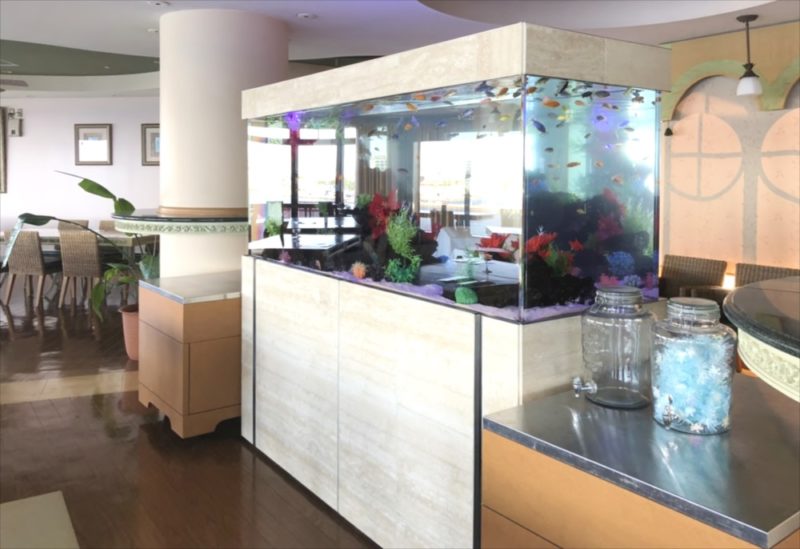江の島アイランドスパ 様　大型淡水魚水槽リース事例 水槽画像３