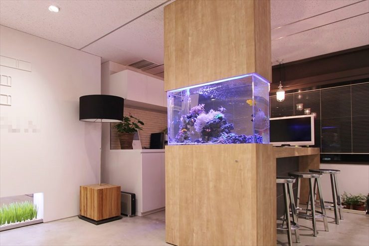 フロアと一体化した水槽はスマートでおしゃれです