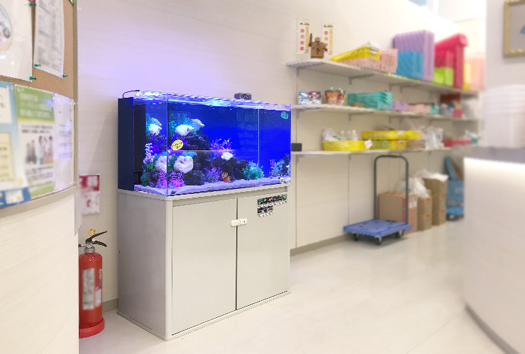 大阪府茨木市 薬局 90cm 海水魚水槽 レンタル事例