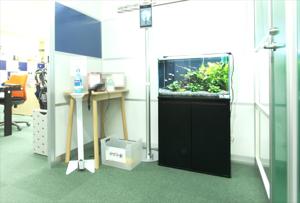 会計事務所　60cm淡水魚水槽　斜め全体画像
