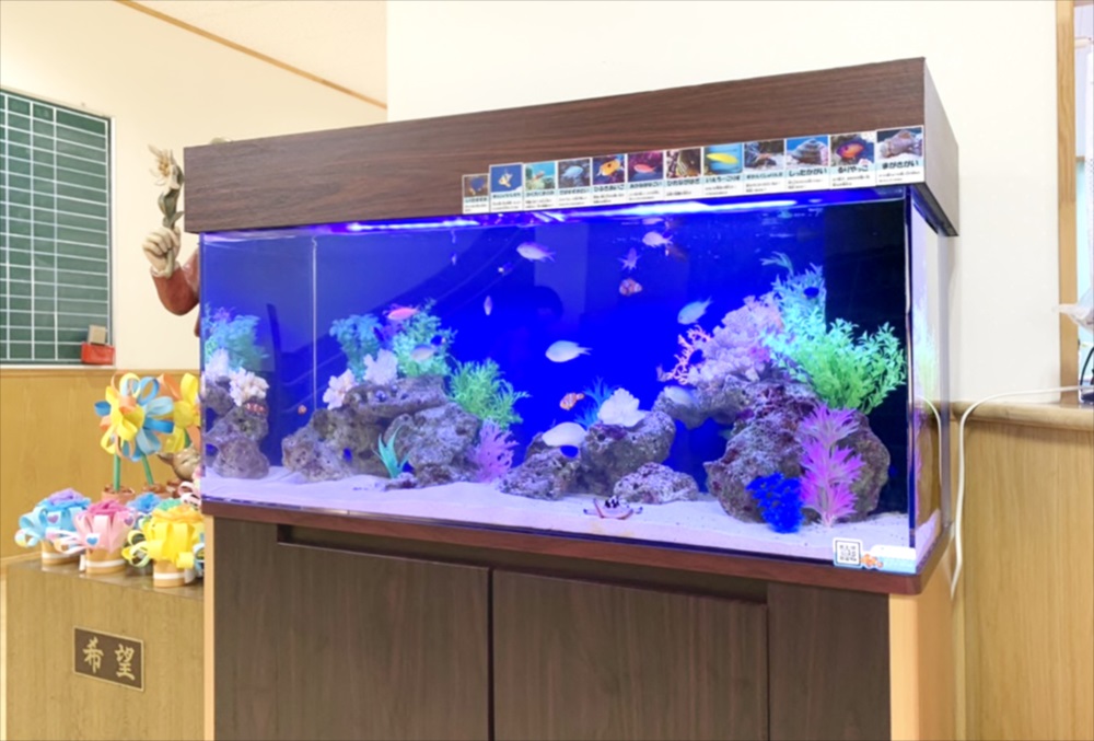 青い照明の海水魚水槽と木目調の水槽台の設置例