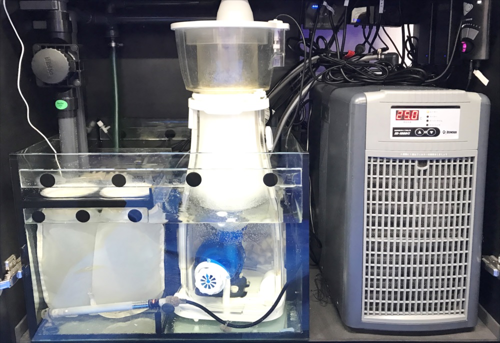 サンゴ水槽　スポットメンテナンス　設備画像