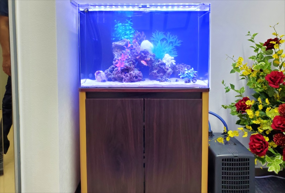 オフィスのエントランス 60cm海水魚水槽 正面画像