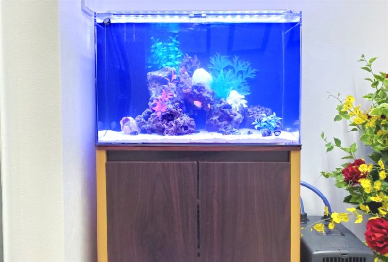 台東区 オフィス 60cm海水魚水槽 レンタル事例 水槽画像5