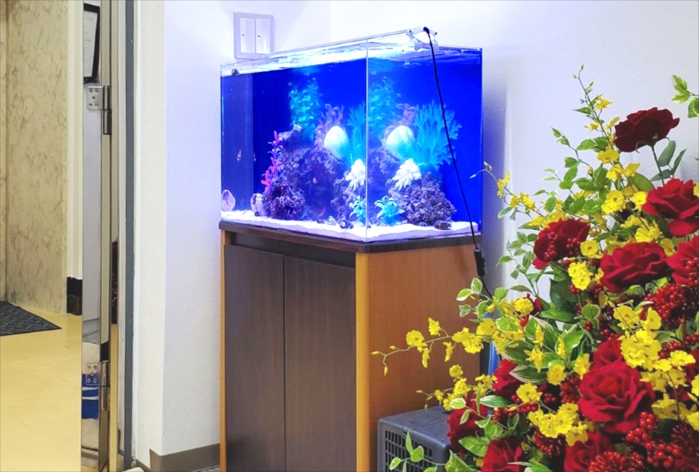 オフィスのエントランス 60cm海水魚水槽 斜め画像