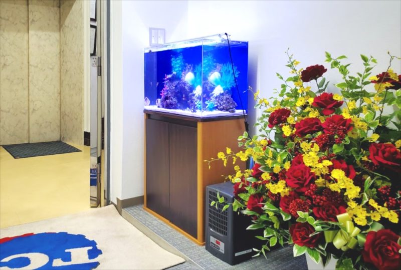 台東区 オフィス 60cm海水魚水槽 レンタル事例 水槽画像1