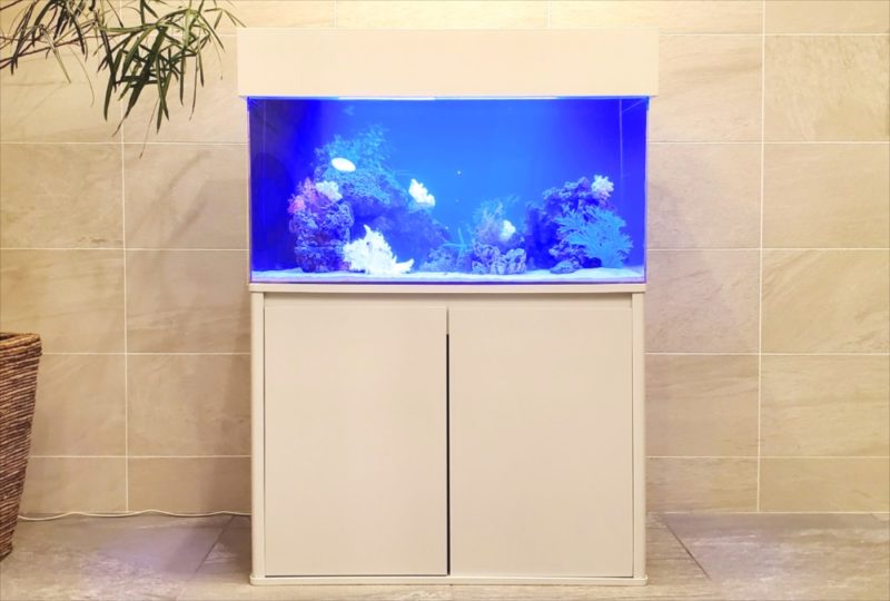 マンションのエントランス 90cm海水魚水槽 レンタル事例 水槽画像2