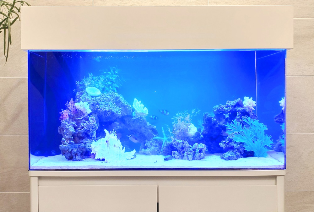 マンション エントランス 90cm海水魚水槽 斜め全体画像