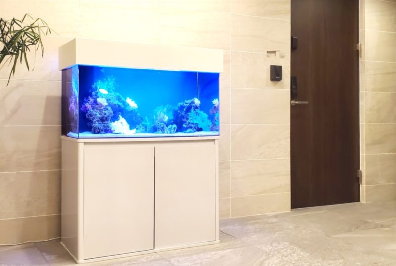 マンションのエントランス 90cm海水魚水槽 レンタル事例 水槽画像1