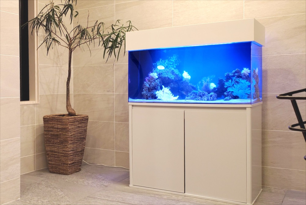 マンション エントランス 90cm海水魚水槽 斜め画像