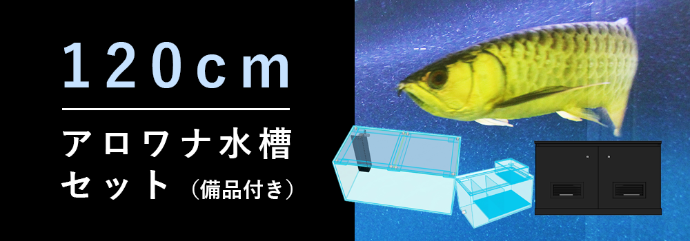 アクアガーデン特製120cmアロワナ専用水槽セット