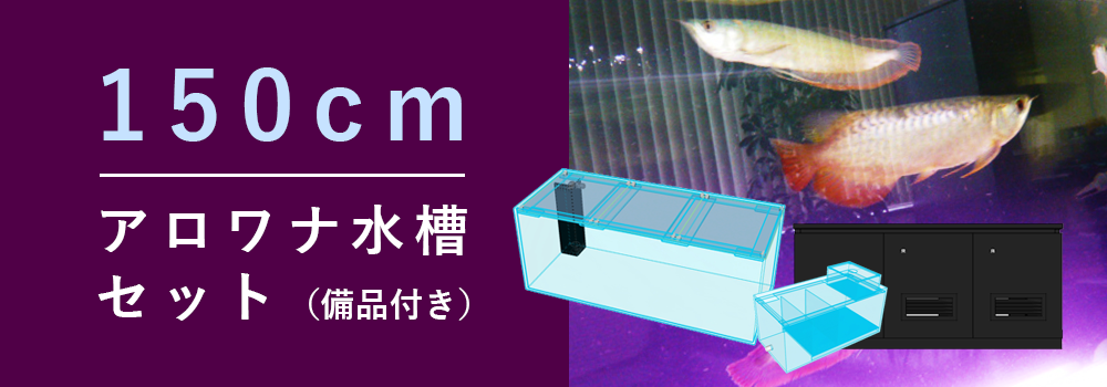 アクアガーデン特製150cmアロワナ専用水槽セット