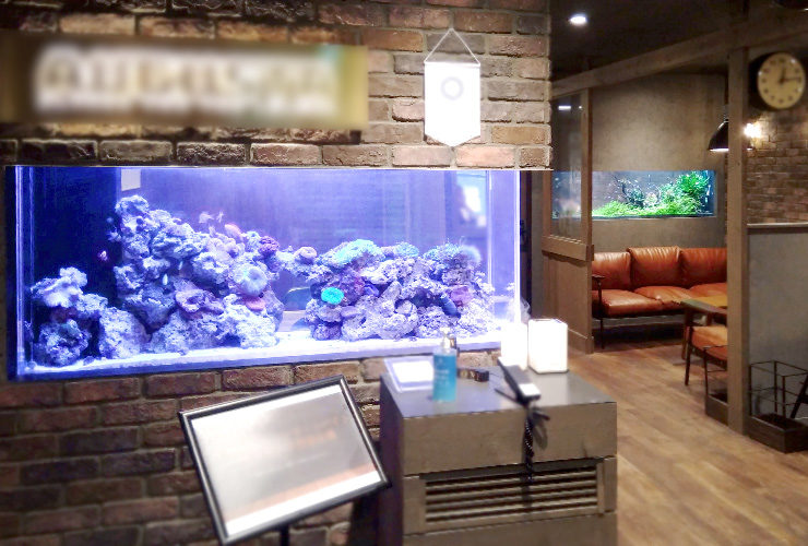 レンガ壁に埋め込まれた大型海水水槽と店内の内装風景