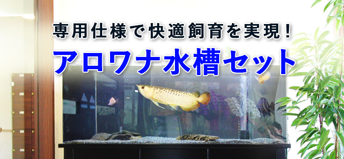 アクアガーデン特製アロワナ専用水槽セット
