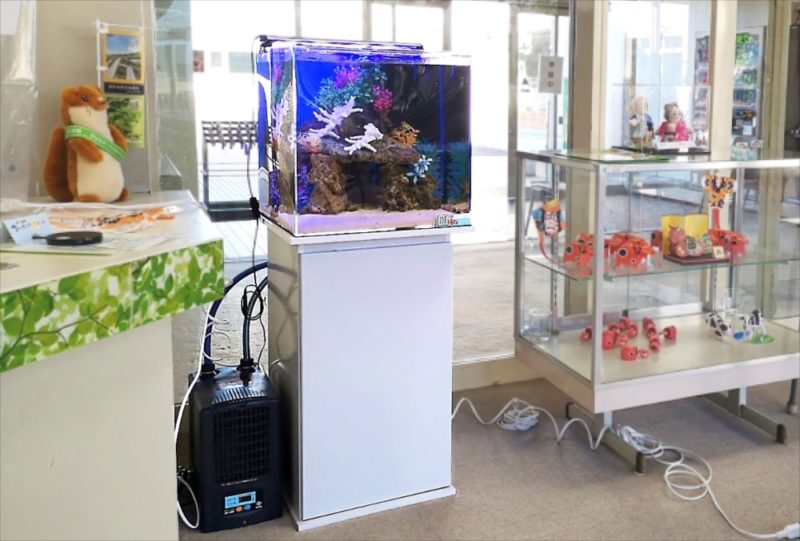 老人福祉センター 横浜市翠風荘 様 海水魚水槽 レンタル事例 水槽画像1