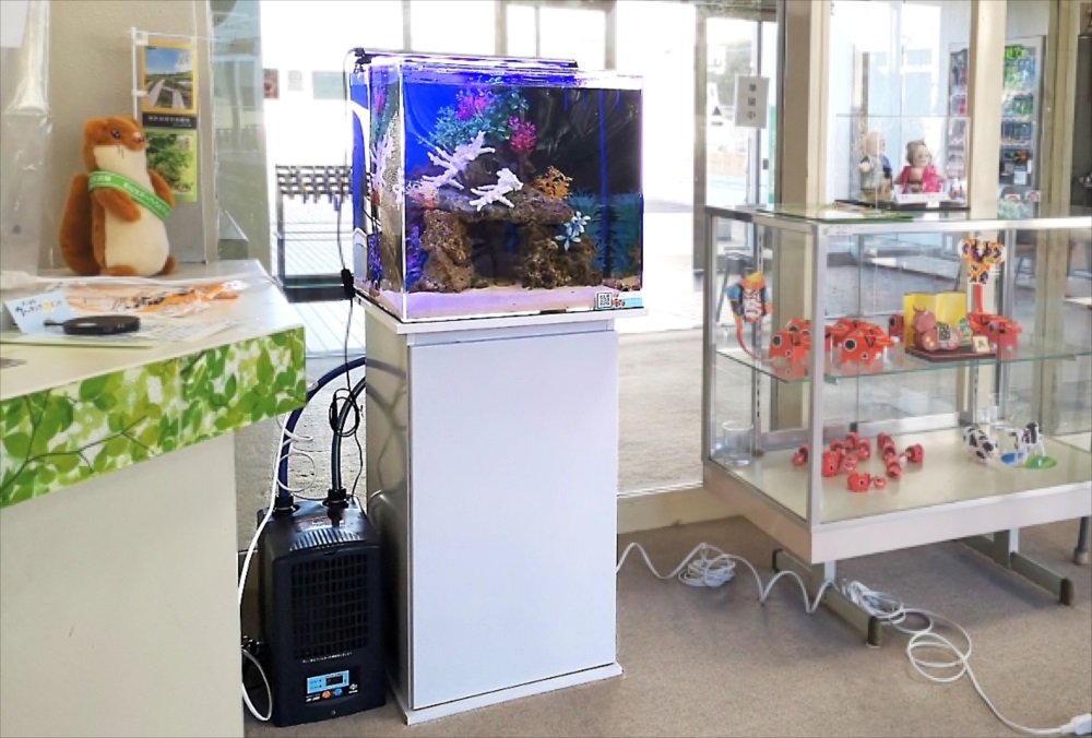 老人福祉センター 海水魚水槽 レンタル