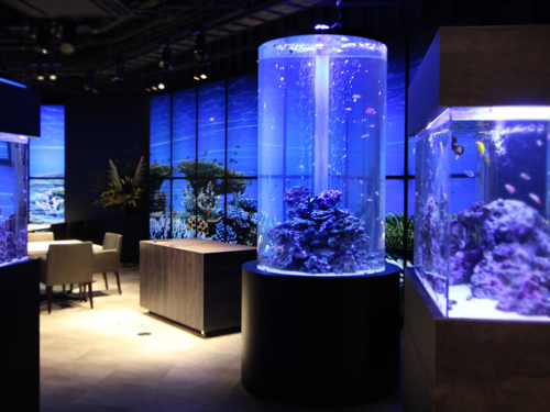 東京アクアガーデン2020年