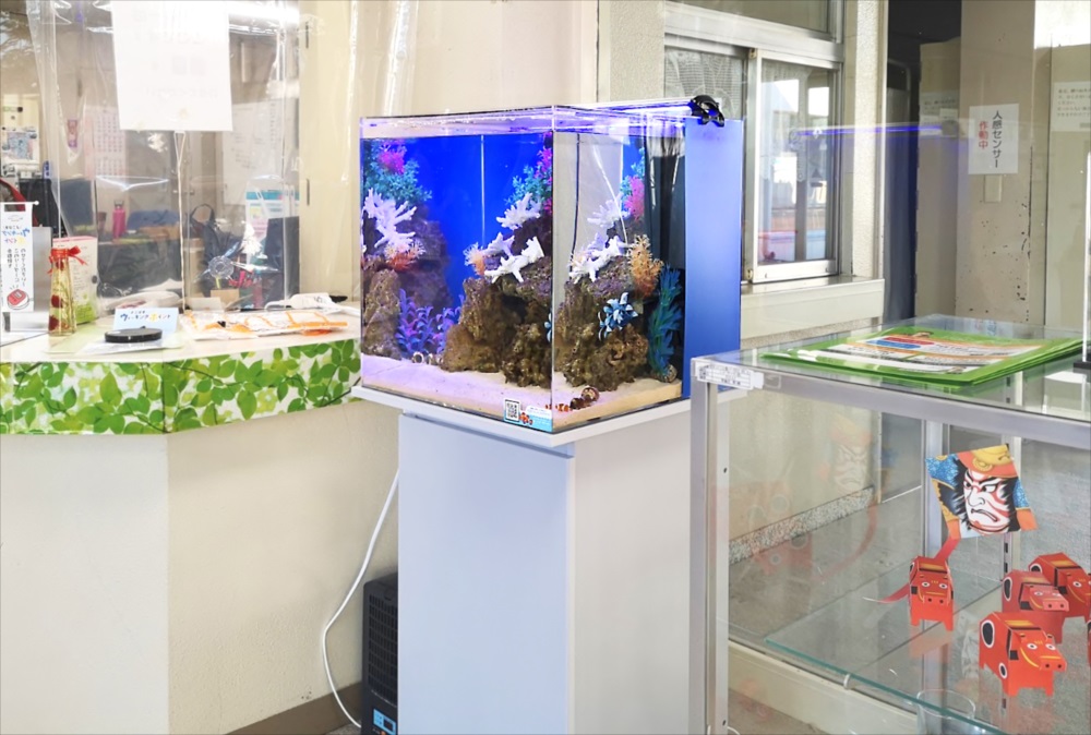 老人福祉センター エントランス 海水魚水槽 斜め画像