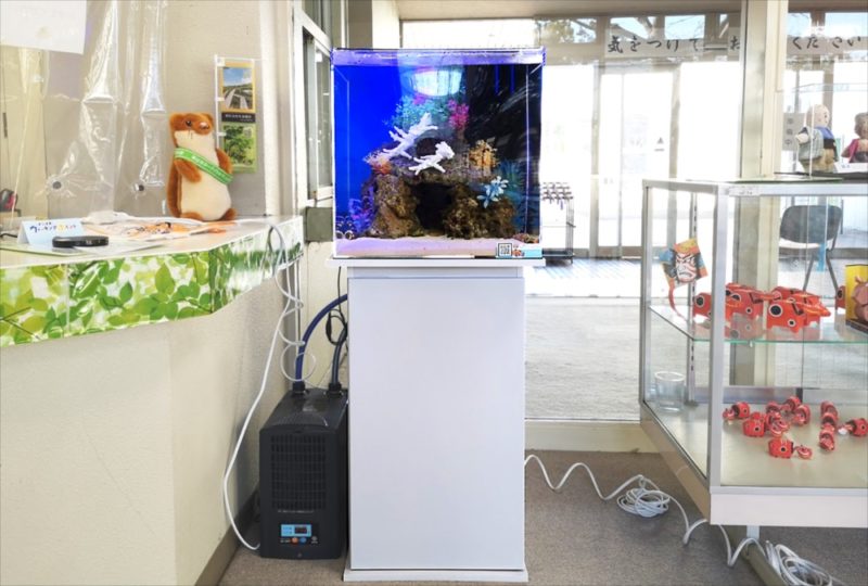 老人福祉センター 横浜市翠風荘 様 海水魚水槽 レンタル事例 水槽画像4