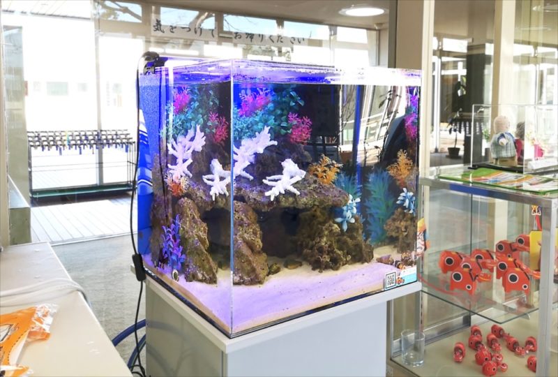 老人福祉センター 横浜市翠風荘 様 海水魚水槽 レンタル事例 水槽画像5