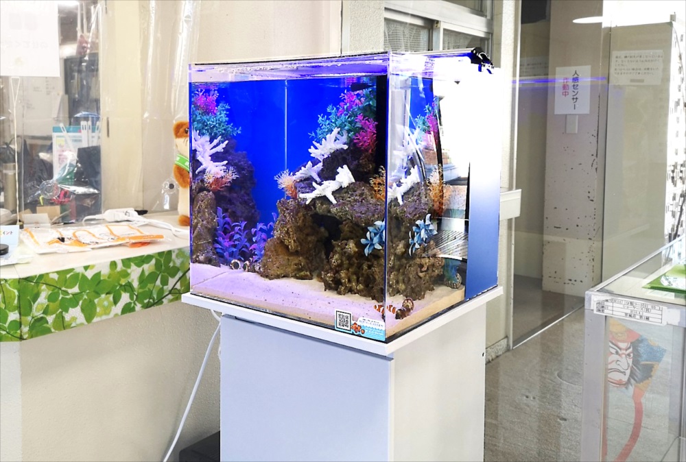 老人福祉センター エントランス 海水魚水槽 斜め全体画像