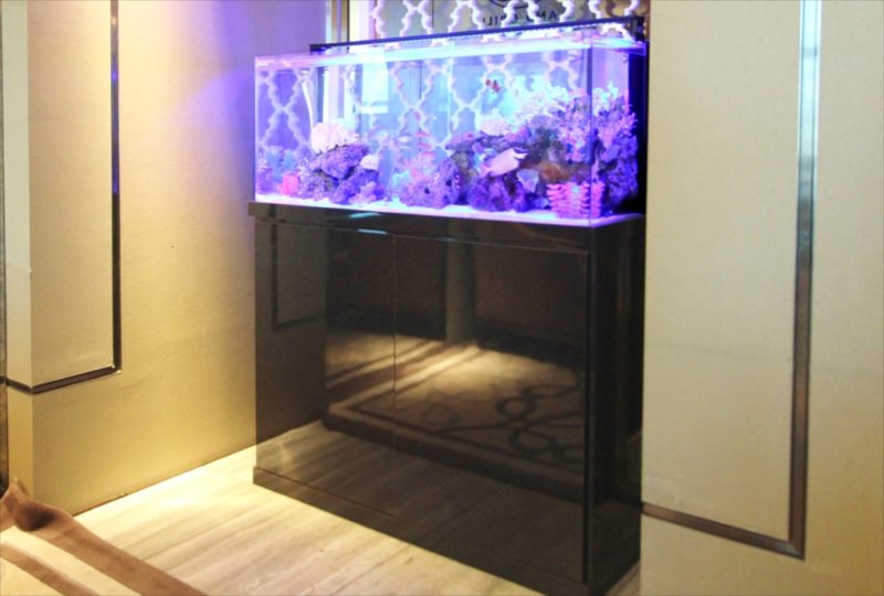 シャングリ・ラ ホテル 東京 様 水槽短期レンタル 水槽画像4