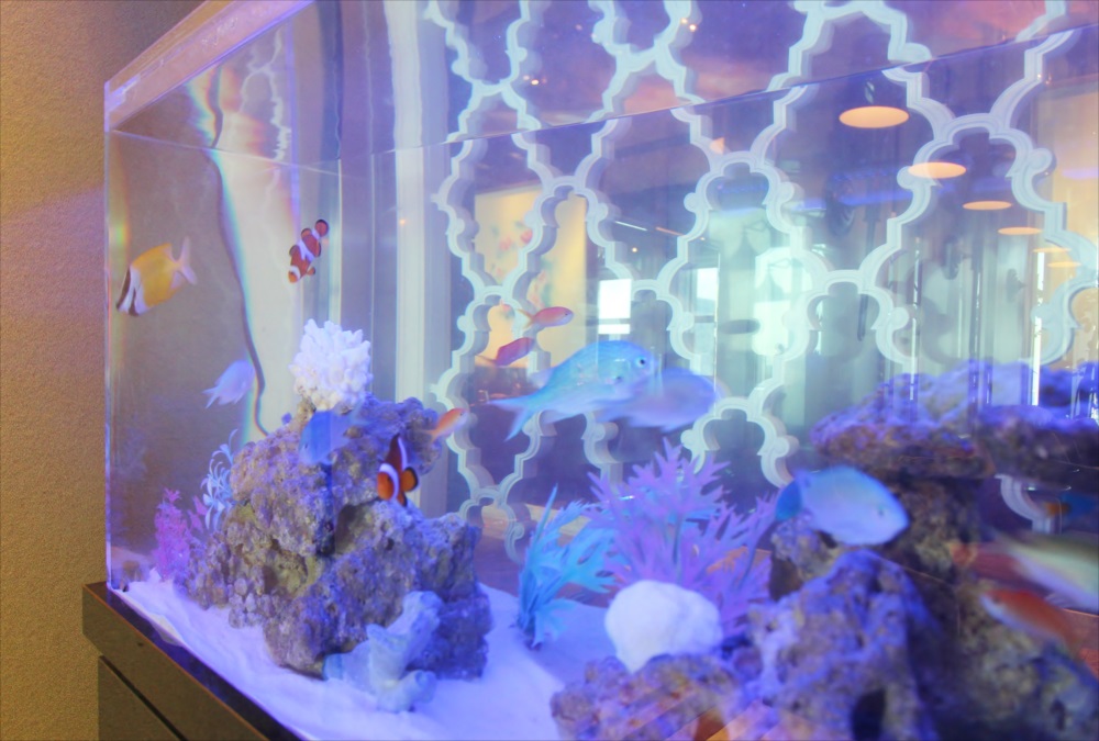 海水魚とサンゴ模型を配置した室内設置の大型水槽