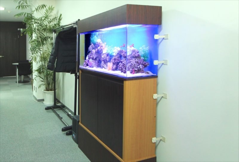 中央区 オフィス事務所 90cm海水魚水槽 レンタル事例 水槽画像1
