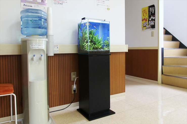 ウォーターサーバーの横に設置された小型水槽と黒い水槽台