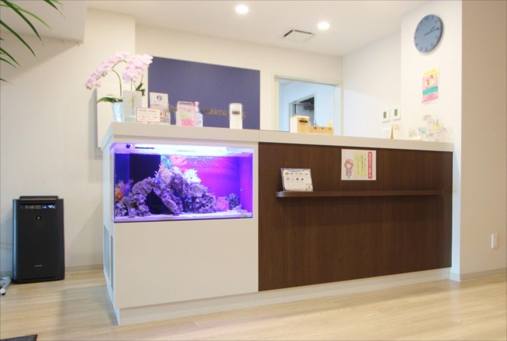 神奈川県　内科クリニックの待合室　80cm海水魚水槽 レンタル事例