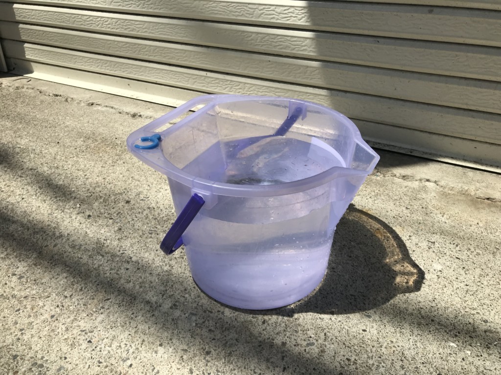 屋外のコンクリート上に置かれた水入りの半透明バケツ