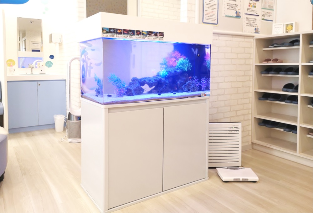 二俣川こどもクリニック様 90cm海水魚水槽 リース事例のサムネイル画像
