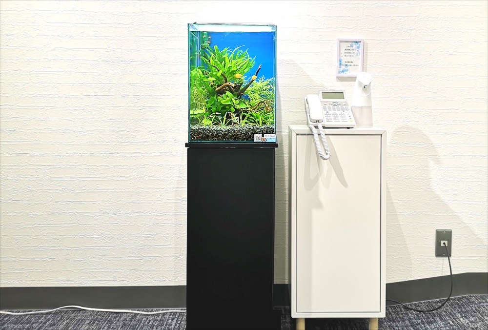 白い壁際に設置された水草水槽と電話機のある棚