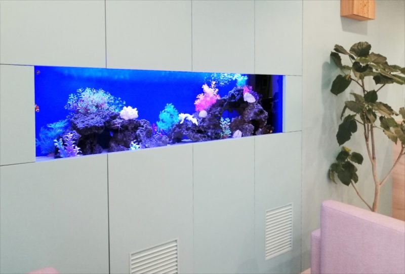 豊洲はるそらファミリークリニック様 150cm水槽リース事例 水槽画像2