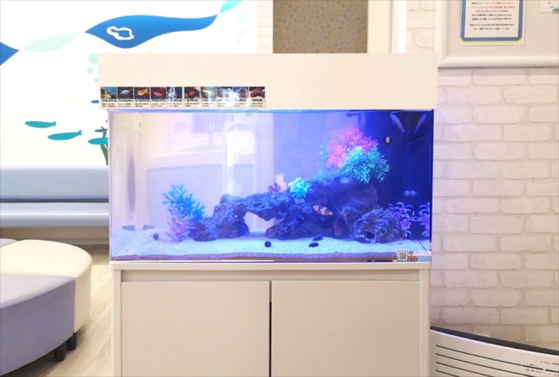 二俣川こどもクリニック様 90cm海水魚水槽 リース事例 水槽画像2