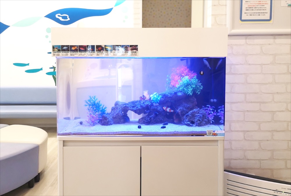 二俣川こどもクリニックの待合室　90cm海水魚水槽　正面画像