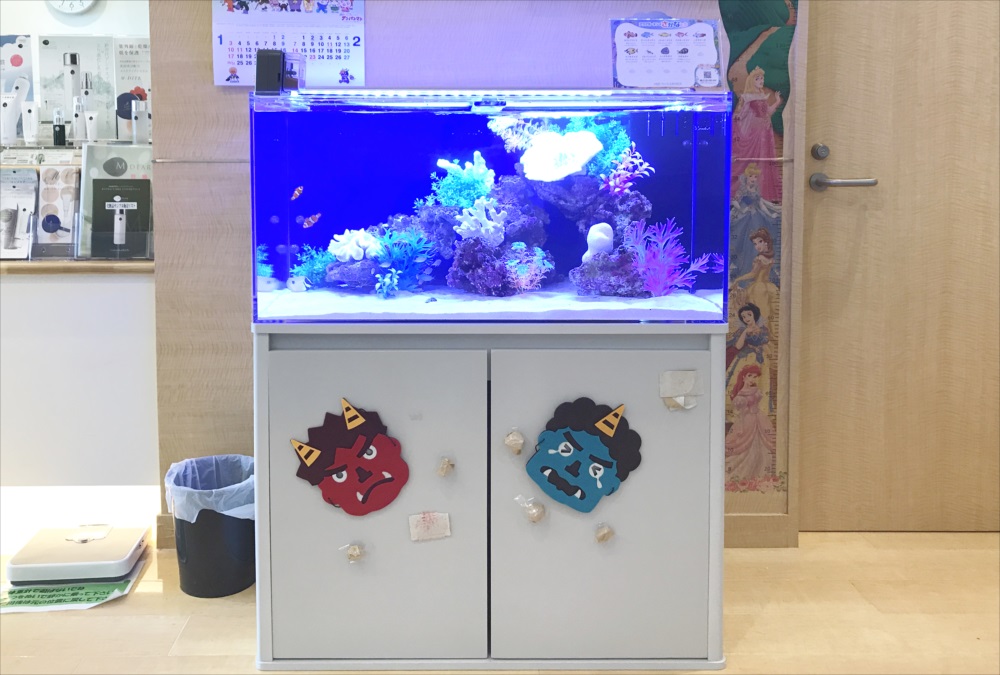 鬼の面が貼られた水槽台と青い照明の海水魚水槽
