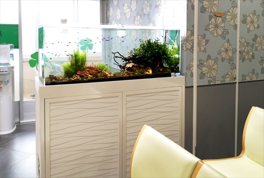 眼科クリニック 120cm淡水魚水槽 全体画像