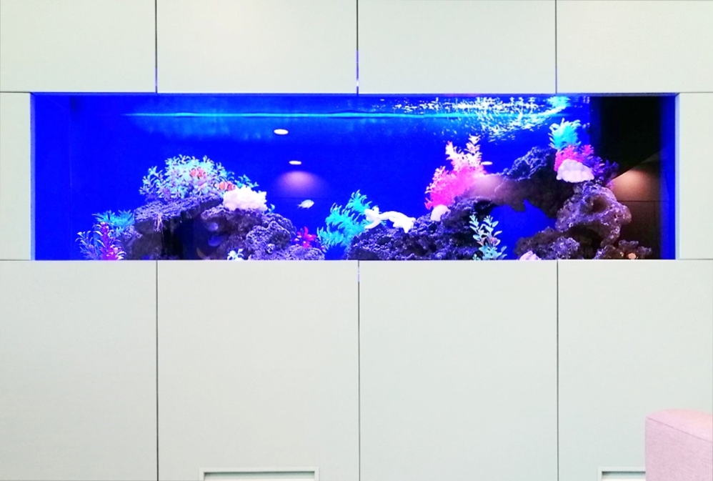 クリニックの待合室 大型海水魚水槽 正面画像