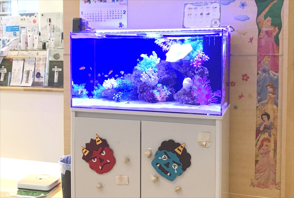 クリニック 待合室 90cm海水魚水槽 斜め画像