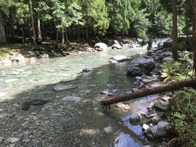 森林に囲まれた透明度の高い川と岩場