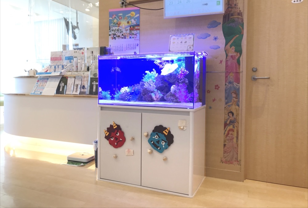 クリニック 待合室 90cm海水魚水槽 斜め全体画像