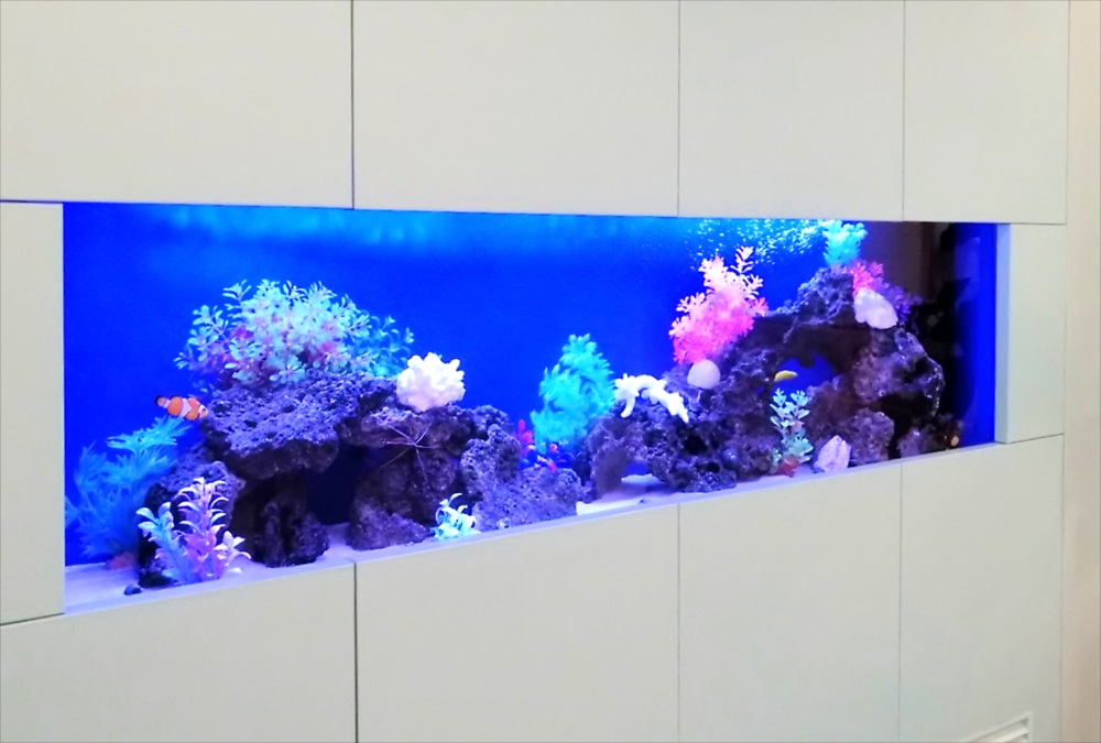 クリニックの待合室 大型海水魚水槽 レイアウト画像