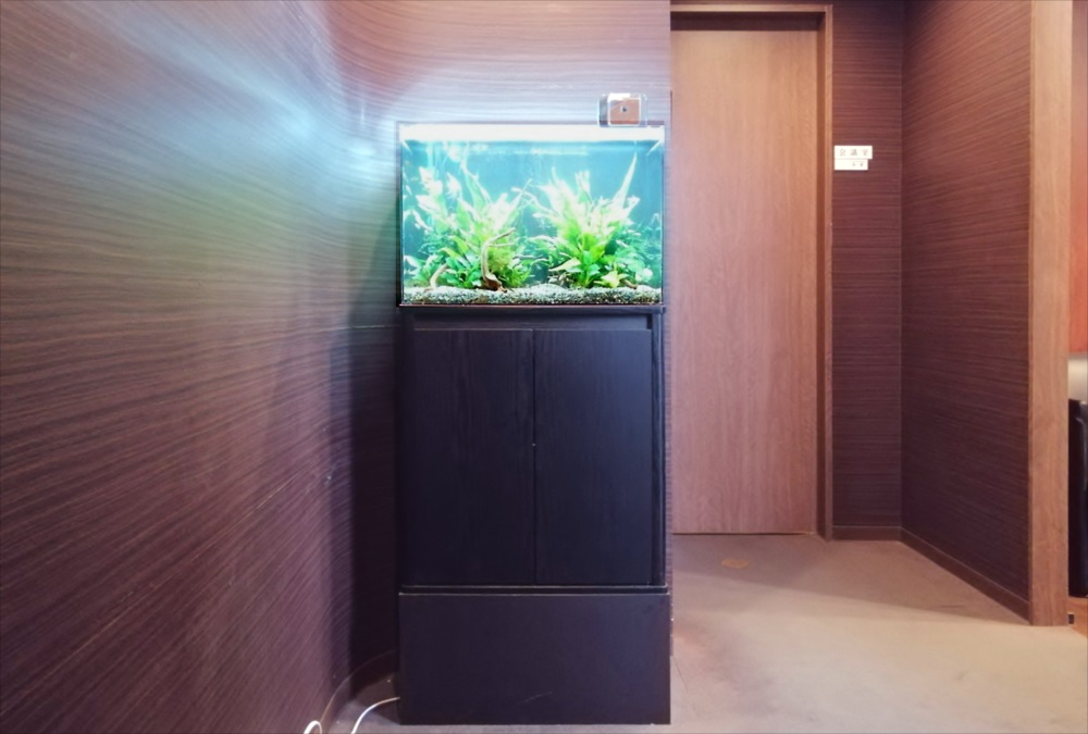 オフィス事務所 60cm淡水魚水槽 正面全体画像