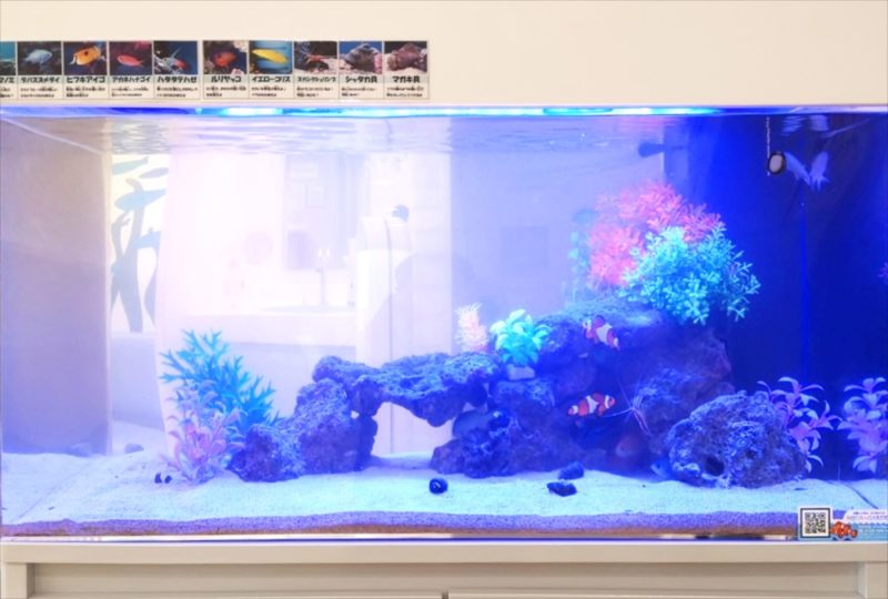 二俣川こどもクリニック様 90cm海水魚水槽 リース事例 水槽画像5